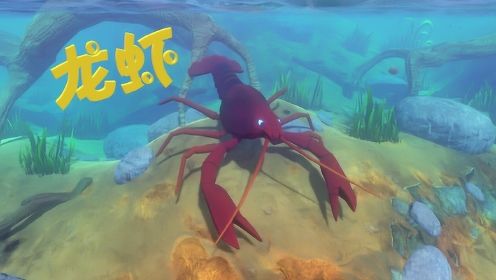 天铭 海底大猎杀 第二季 26 大龙虾和小龙虾的区别