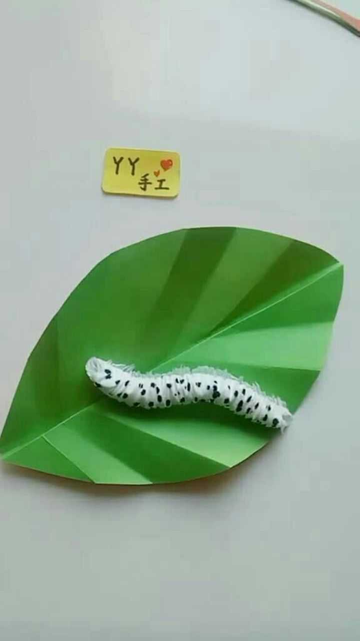 教你用卫生纸制作蠕动的毛毛虫