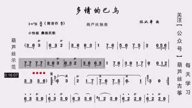 葫芦丝6级动态歌谱《多情的巴乌》示范,非常好听的一首歌曲