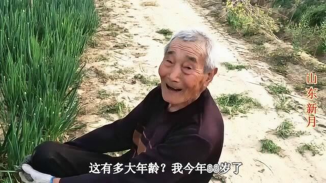 农民种植大葱,栽什么样的葱种子好?88岁大爷凭经验告诉你