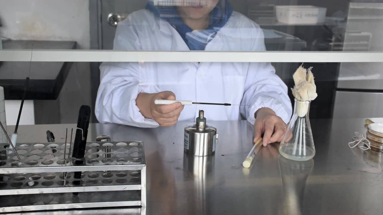 微生物的无菌接种——液体摇瓶的接种