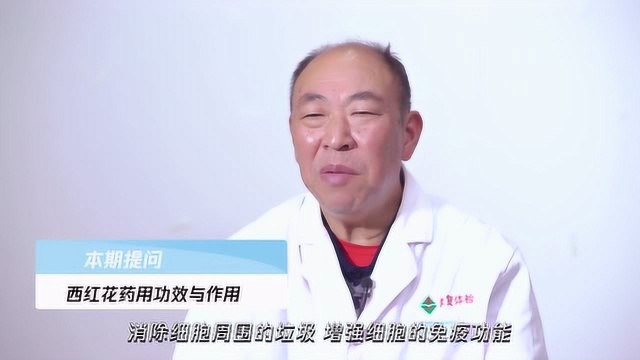 西红花药用功效与作用,听听专家的分析