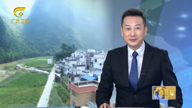 凌云:党员示范促脱贫 党建引领奔小康