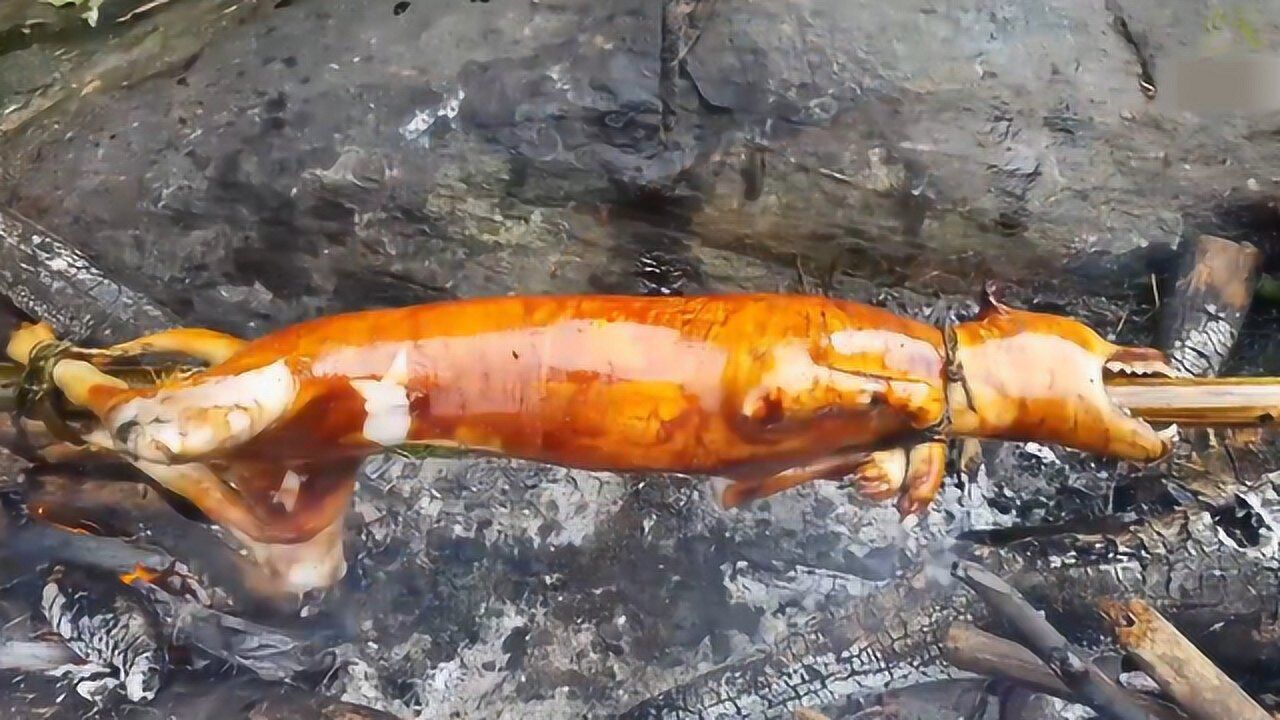 猫肉在越南成为"美食",被吃到灭绝,现如今只能从国外进口!