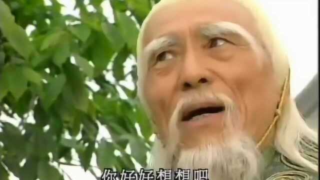 少年张三丰:易云斥责易继风气度小,张启樵问秦思蓉岳飞遗物下落