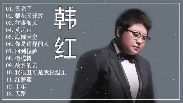 韩红精选好歌,《天亮了》《梨花又开放》《往事随风》等歌曲