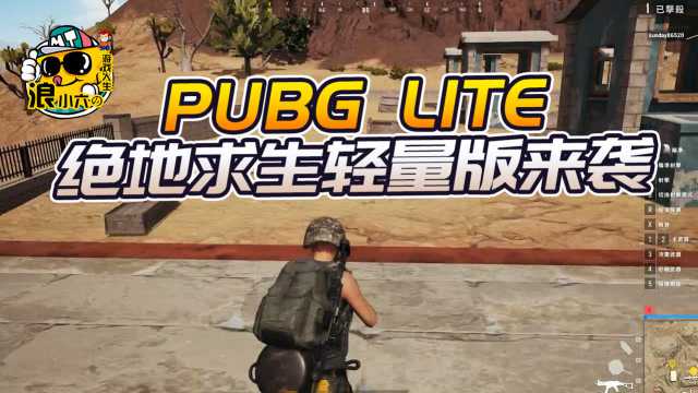 三、探讨《绝地求生轻量版辅助无广告》的市场前景