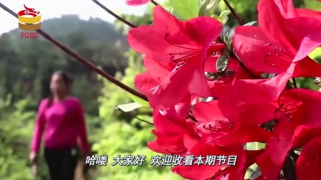 农村称为黄花地丁的野草,是肝脏解毒能手,排除毒素,肝脏更健康