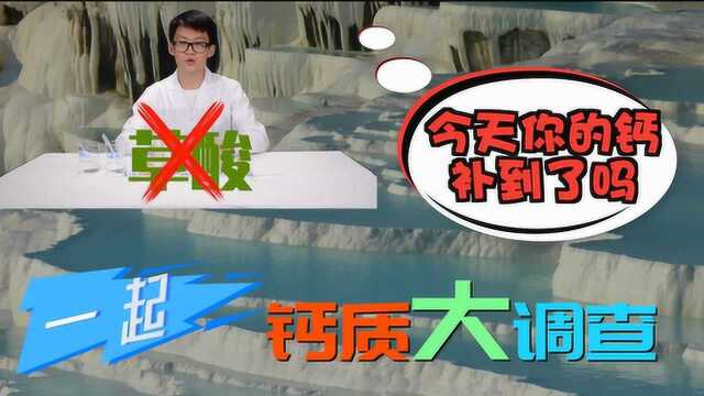 今天你的钙补到了吗?趣味科学小实验钙质大调查