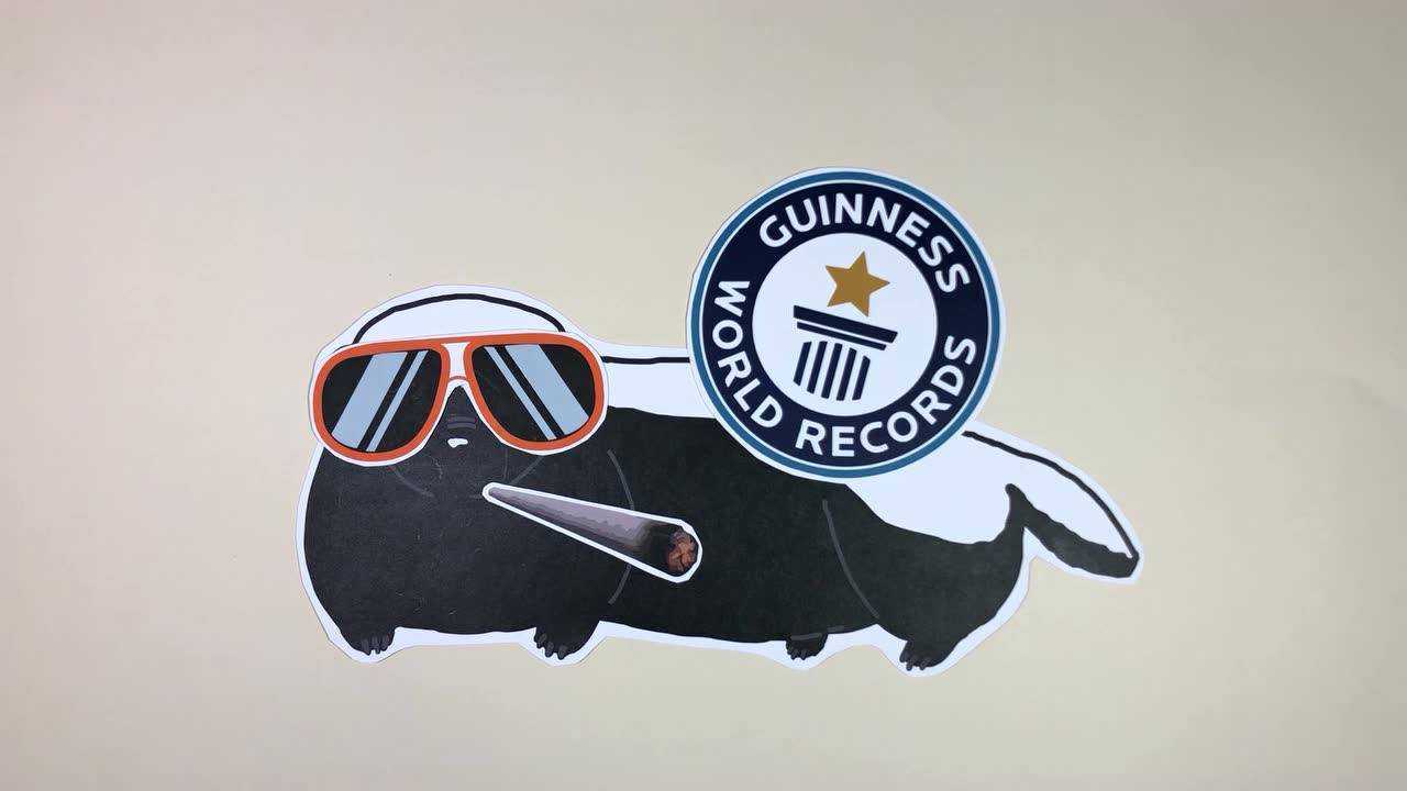 毛茸茸的星球之蜜獾很有趣