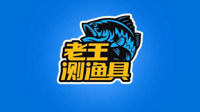 《老王测渔具》第一期:化氏湛卢5.4米鱼竿到底怎么样?