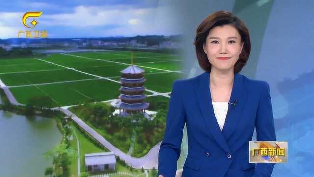 全国农村改革试点的“玉林实践”