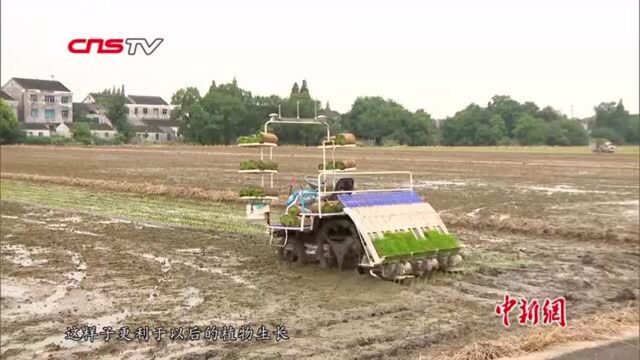 田间地头也玩“黑科技”智能无人驾驶插秧机现身江苏