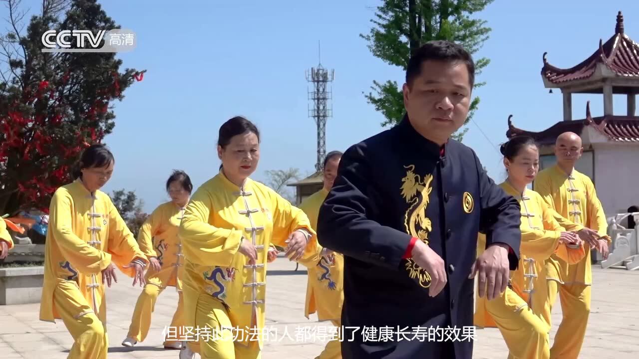 太乙游龙拳(cctv采访非物质文化遗产)