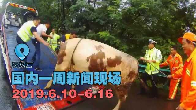 现场云国内一周新闻现场6.106.16