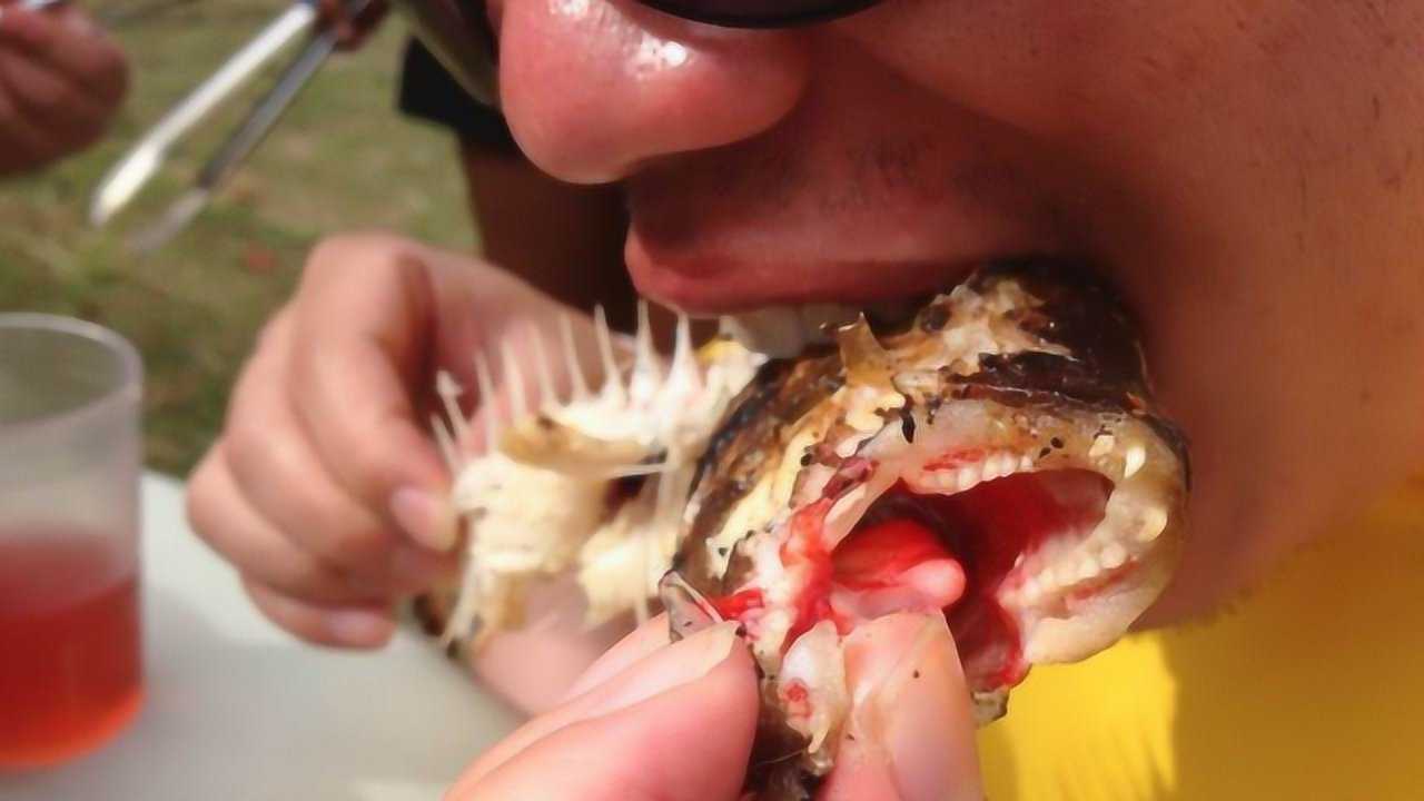 食人鱼吃人真实案例图片