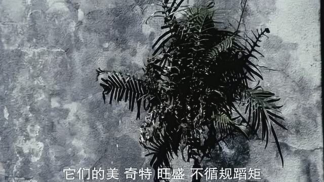 在人海中遇见你:来自大自然中的道理,还真是有科学依据