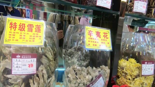 实拍新疆特产店,冬虫夏草27万一公斤,老板说这么便宜了买点呗