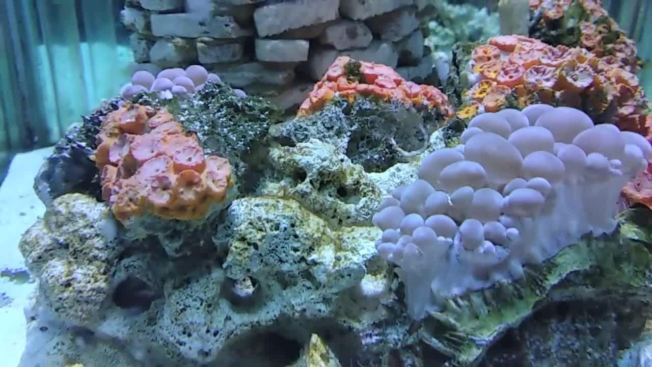 海底物产丰富图片