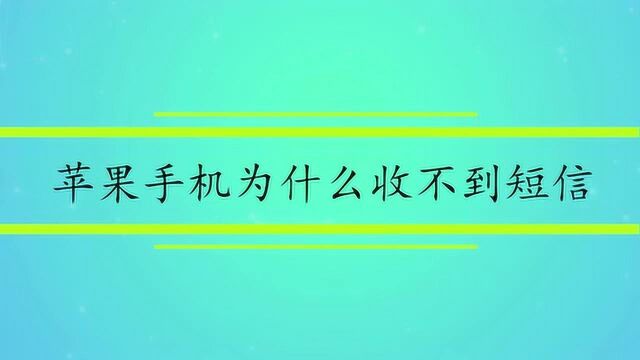 苹果手机为什么收不到短信