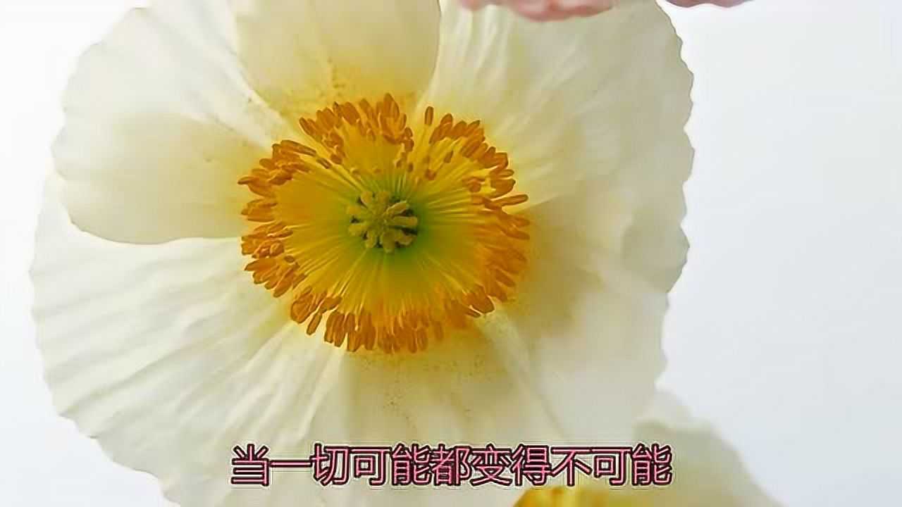 龙梅子歌曲《曾经相爱那么深》,旋律悠扬,值得细细品味