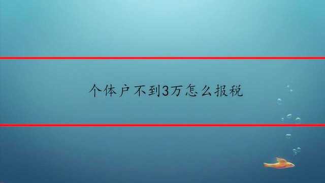 个体户不到3万怎么报税