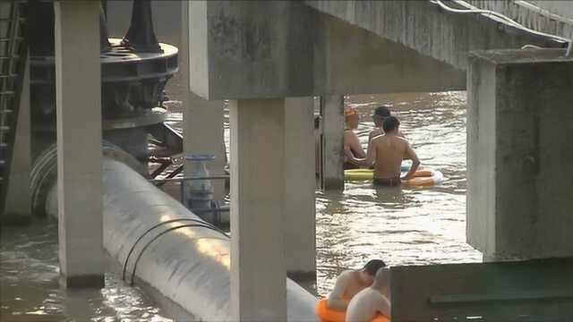 武汉一级水源地取水口被破坏:多人翻墙游泳,还有狗洗澡拉屎