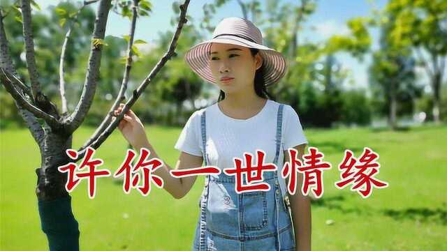 一首《许你一世情缘》句句入情,听一遍醉三天,太美太好听了!