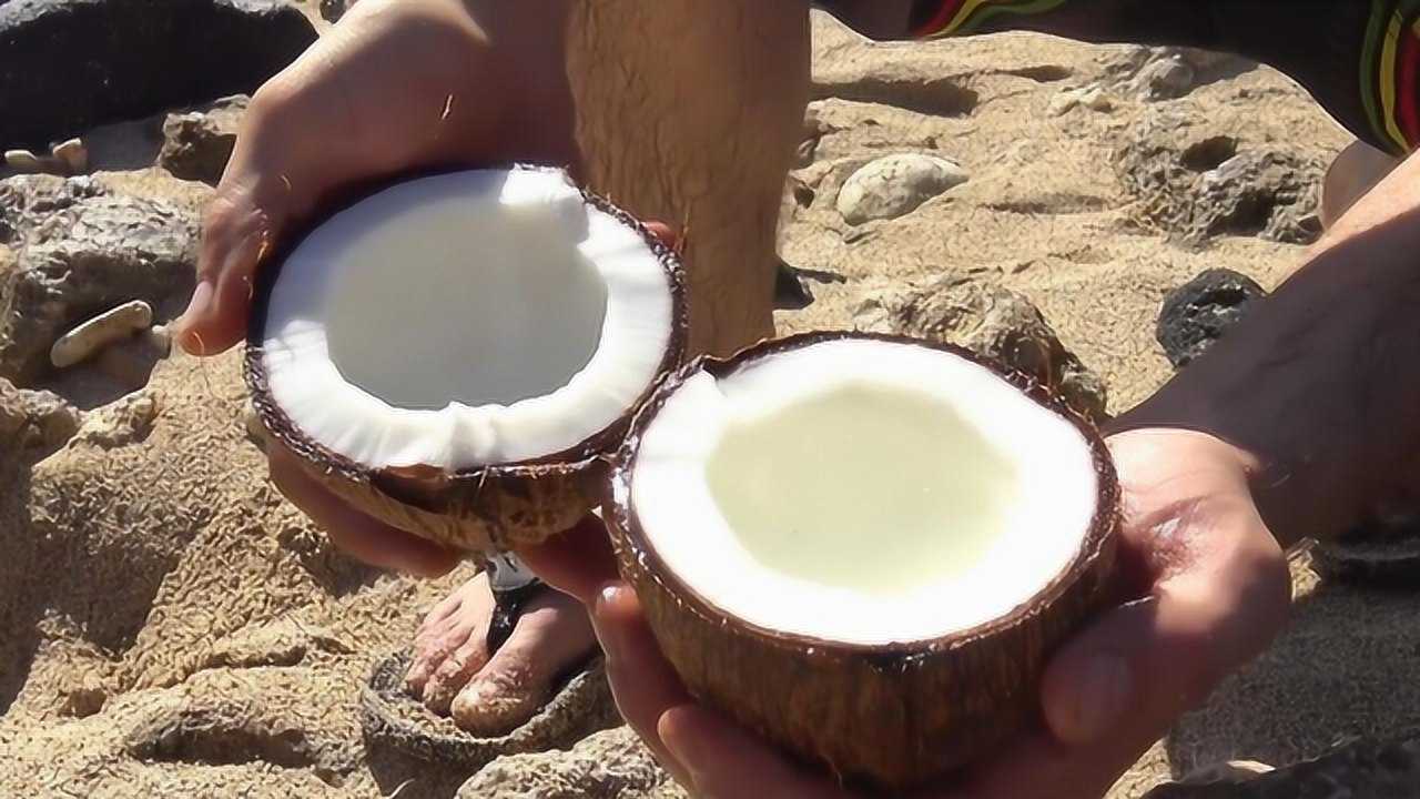 如何徒手开椰子?老外在线教导,又被get到了!