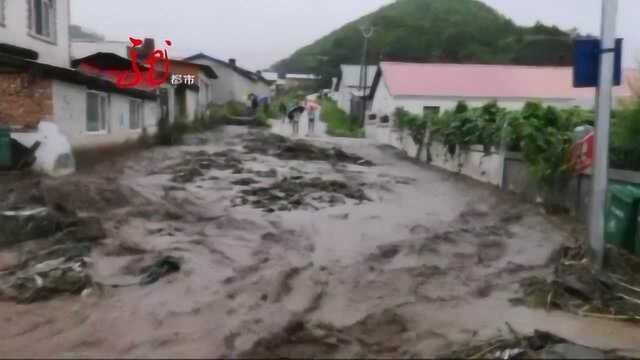 宝清县:暴雨来袭 部分村屯整村撤离