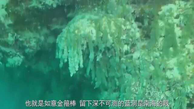 三沙出现神秘蓝洞,科学家下水考察,终于揭开真相