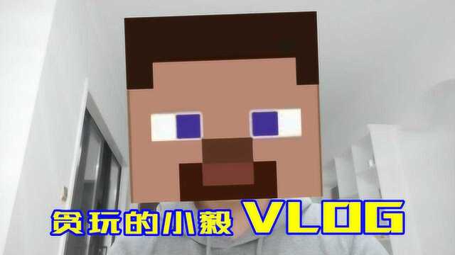 贪玩的小毅vlog:真人出镜向你展示,游戏视频作者的一天!