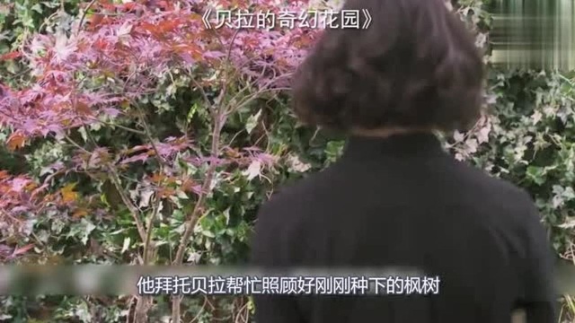 《贝拉的奇幻花园》,一部充满爱和美好的电影,看完心情都好了