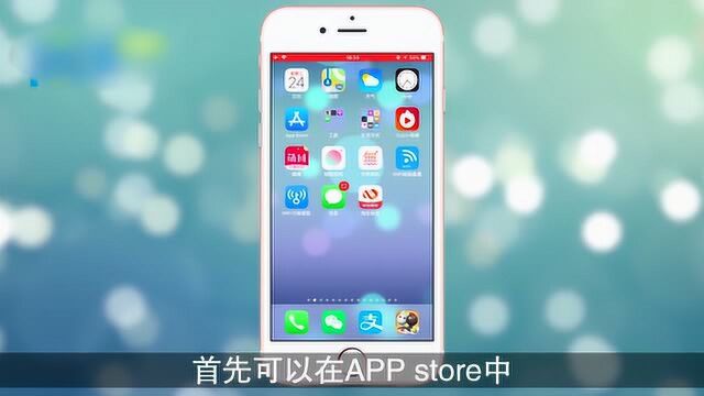 apple电话技术支持怎么用