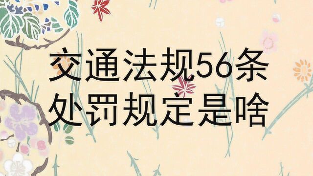 交通法规56条处罚规定是啥?