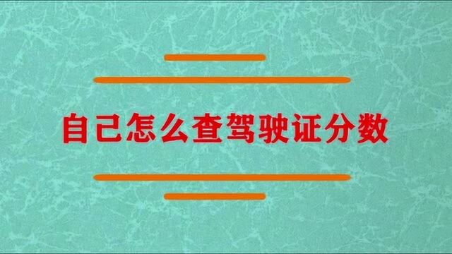 自己怎么查询驾驶证分数?