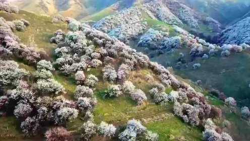 生态中国·壮美山河瞰新疆
