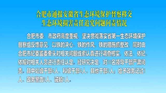 合肥市通报安徽省生态环境损害责任追究问题问责情况