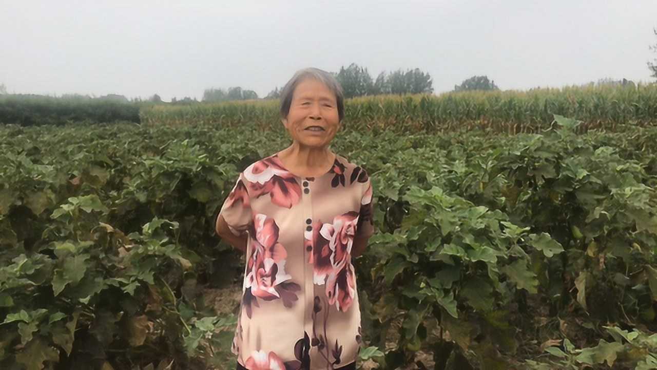 如何判断怀男孩女孩?77岁大娘用自己的经验告诉你,听听准吗_腾讯视频