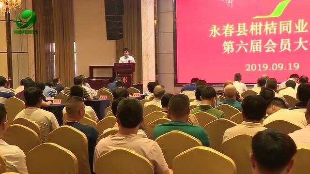 永春县柑桔同业公会召开第六届会员代表大会