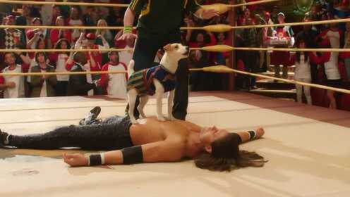 会“摔跤”的宠物狗，瞬间打败摔跤冠军，拿到了金腰带！