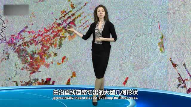 阿克雷河口位于亚马逊州,它几乎被亚马逊热带雨林全部覆盖