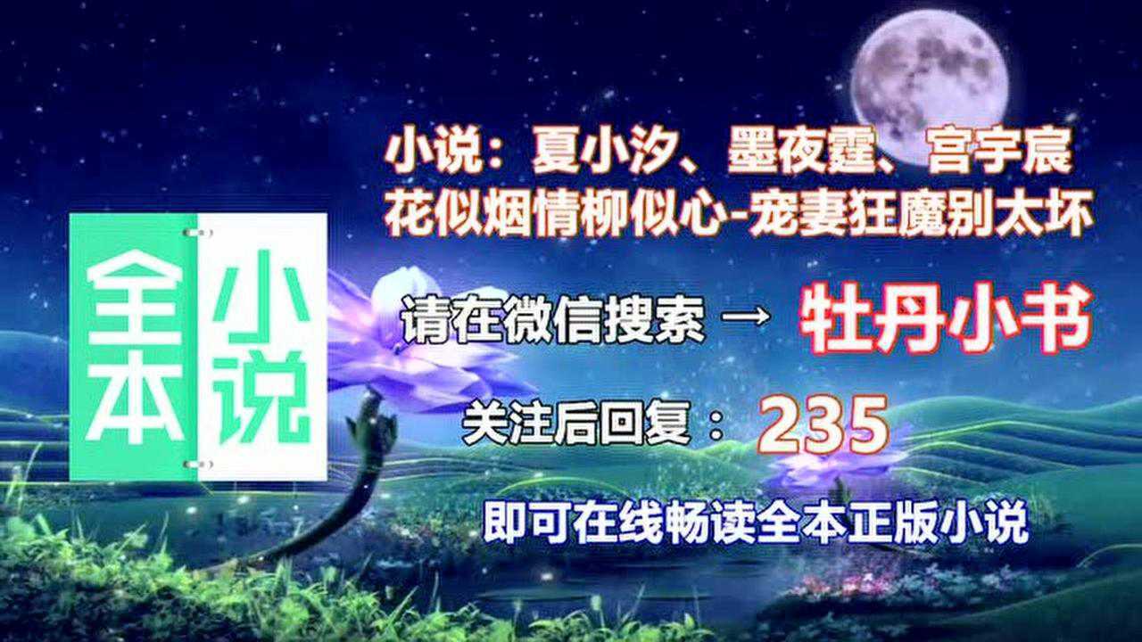 花似烟情柳似心,夏小汐和墨夜霆