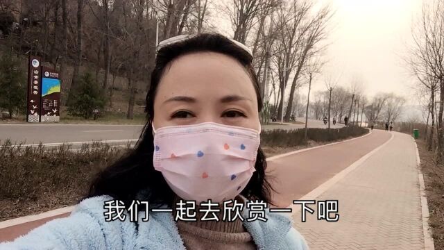 三门峡沿黄公路,一条很美的观景路,和小梅一起走起!