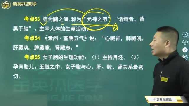 中医基础理论09大肠跟三焦的生理功能,脾与胃的关系,女子胞的知识