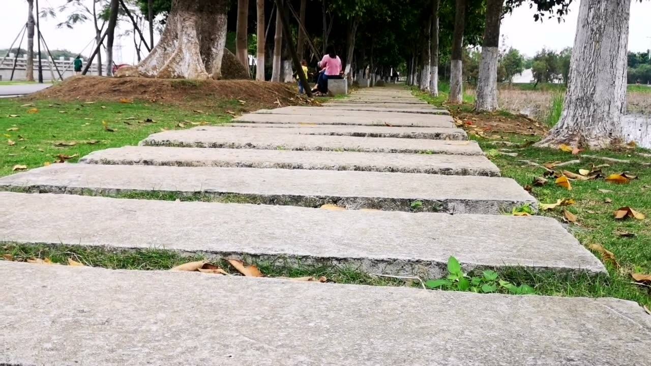 广东中山市东凤镇和穗湿地公园,你到过吗?