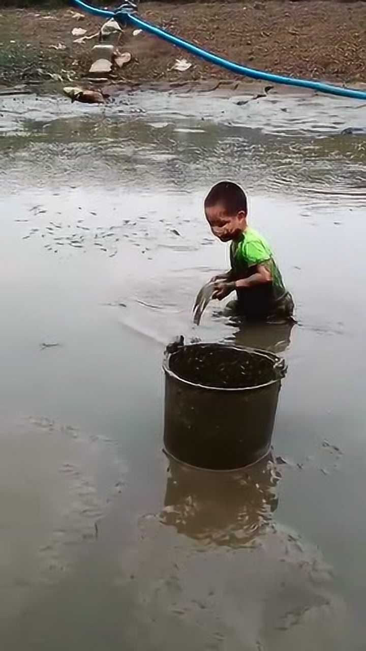 河裡看到這一幕小孩子抓魚也太拼了為了抓魚渾身都是泥