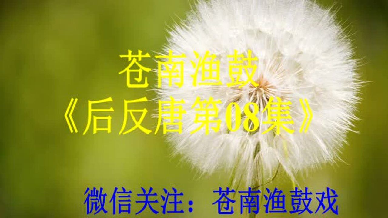 苍南渔鼓玉刺刀全集图片