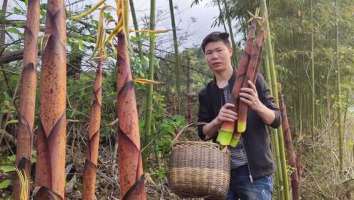 的生活日记时 间:2022-04-12拔了半个月的竹笋,天天在拔竹笋做烟笋