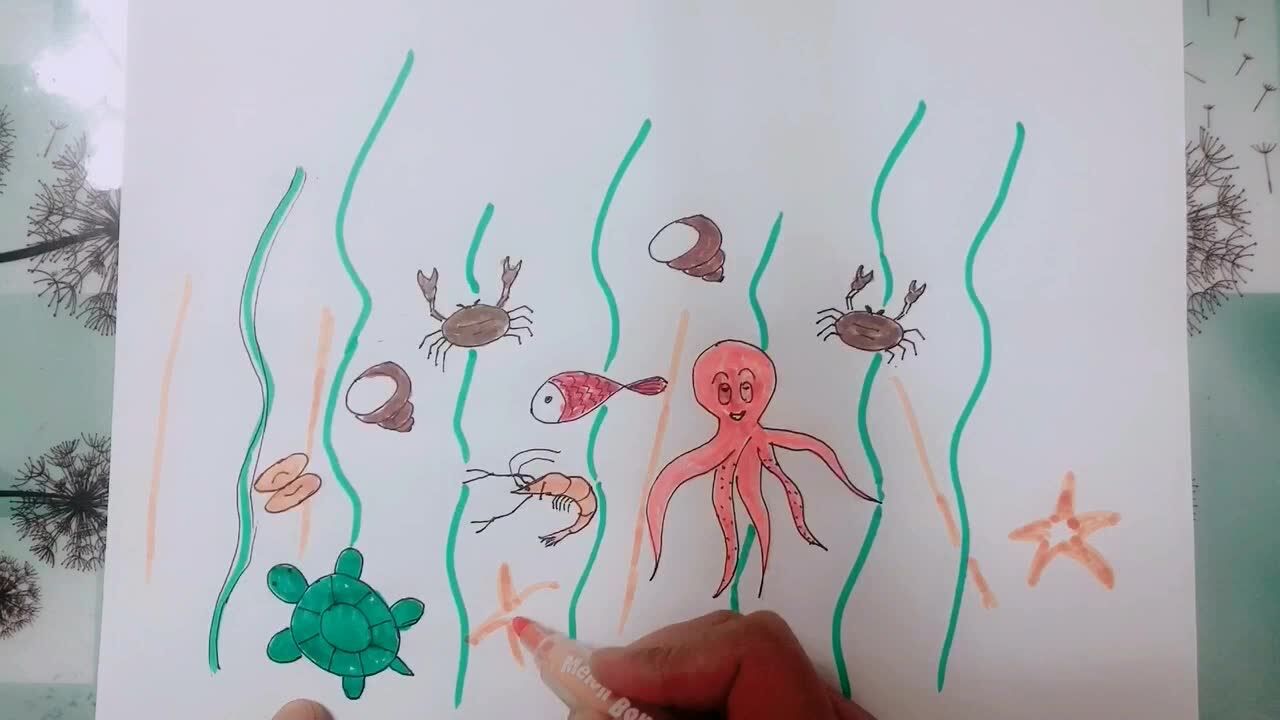 用数字画出海底的秘密一起来观看海底世界简笔画